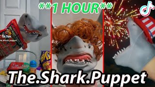 1 Hour  Funny Shark Puppet TikTok Video 2024  Best TheSharkPuppet TikTok Shorts SharkPuppet [upl. by Beatrisa318]