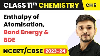 Class 11 Chemistry Ch 6  Enthalpy of Atomisation Bond Energy and BDE  Thermodynamics [upl. by Aldarcy]