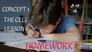 Homework Grade 6  unit 1  concept 1  lesson 1  first term [upl. by Jinny520]