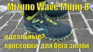 Mizuno Wave Mujin 8 – кроссовки для бега зимой [upl. by Ennaej]