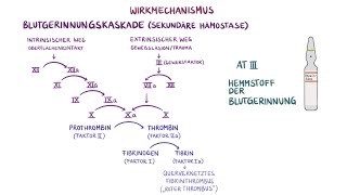 Medikamente im Rettungsdienst  Heparin [upl. by Adnilra297]