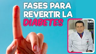 Fases para Revertir la Diabetes Dr Javier E Moreno [upl. by Stedt]