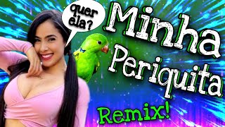 Juliana bonde  PERIQUITA Versão Remix [upl. by Mitchel650]