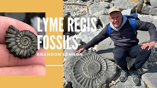 How did I know the fossil ammonite was in the rock [upl. by Aniroc]