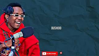 Bushali Ibere ft Brucemelody official lyrics [upl. by Kory364]