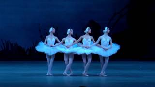 Танец маленьких лебедей  Dance of the little swans from Swan Lake [upl. by Burney817]