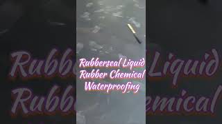 Liquid Membrane Waterproofing Treatment । Roof Rubber Chemical Coating Waterproofing Treatment [upl. by Pogue]