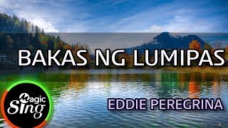 MAGICSING Karaoke EDDIE PEREGRINA  BAKAS NG LUMIPAS karaoke  Tagalog [upl. by Nillok534]