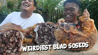 WEIRD BLAD SOSEDS [upl. by Cheffetz]