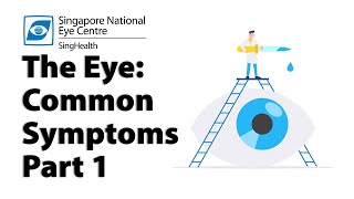 Common Eye Symptoms Part 1 Blurred Vision Cloudy Vision Halos and Glare [upl. by Yerg]