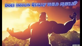 Does Insulin really build muscle [upl. by Notnel]