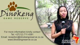 Dinokeng Game Reserve  Business Card  Africa 7 [upl. by Aihsiek]