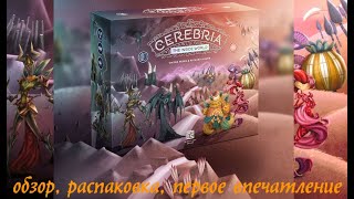 CEREBRIA The Inside World  обзор уникальной игры под распаковку коллекционного издания Церебрия [upl. by Oiluj646]