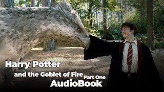 HARRY POTTER AND THE GOBLET OF FIRE  Full Audiobook Part 6  JK Rowling [upl. by Fleeta328]