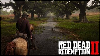 Red Dead Redemption 2 OST  Ride to Braithwaite Manor Theme  Chapter 3 Finale [upl. by Yecats819]