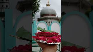 Dargah kalyar sharef [upl. by Nazario]