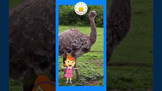 Domestic Animals Kids Song What Do You See Song Animals Name and SoundsTamilarasi [upl. by Gerrilee]