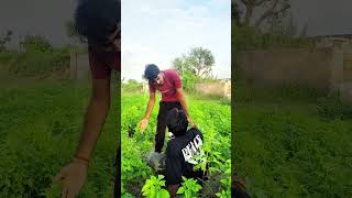 kista me ler aayo😅😂🤣👌👌👌 comedy comedyfilms funny monu and rakesh comedy comedy with nagouri [upl. by Udelle]