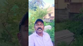 Chinna gounder vijayakanth song [upl. by Corydon]