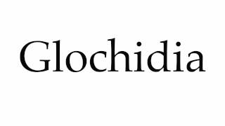 How to Pronounce Glochidia [upl. by Acinorrev]