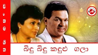 බිඳු බිඳු කඳුළු ගලා Bindu Bindu Kandulu Gala  Greashan Ananda Shyami Fonseka [upl. by Fuld]