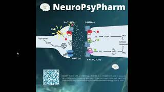 QUAIS SÃƒO OS RECEPTORES DE SEROTONINA 5HT NEUROPSYPHARM NEUROCIÃŠNCIASPSICOFÃRMACOSSAÃšDE MENTAL [upl. by Nidorf908]