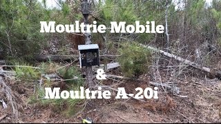 Moultrie Mobile and Moultrie A20i [upl. by Godfree]