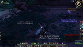 WOW  Pet Battle  Clear the Catacombs Suramar  Bloodgazer Team Rumble [upl. by Sudaorb377]