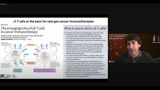 The Importance of GammaDelta T Cells [upl. by Deerc292]