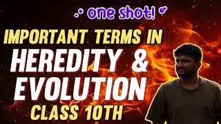 HEREDITY AND EVOLUTION IN 30 MINUTES 🔥 • CLASS 10TH ONE SHOT [upl. by Sacken]