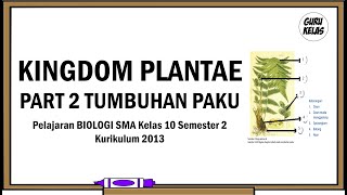 TUMBUHAN PAKU  PTERIDOPHYTA Pelajaran BIOLOGI SMA Kelas 10 Semester 2 [upl. by Maitilde886]