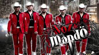 voz de mandoel 6 [upl. by Sigfrid]