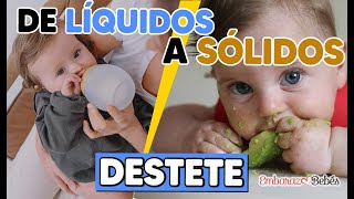 DESTETE  Alimentación Complementaria 🍽️👶 PASOS para un Destete Respetuoso [upl. by Clementi]