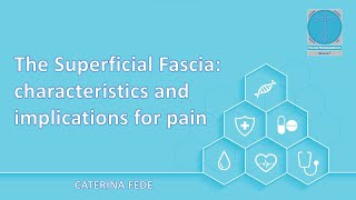 The Superficial Fascia its characteristics and implications for pain [upl. by Otto]