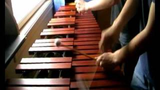 Zelda Links Awakening  Tal Tal Heights on Marimba [upl. by Krahling671]