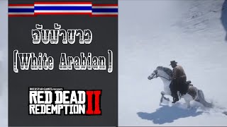 จับม้าหายาก  White Arabian Horse   Red Dead Redemption 2 PS4 [upl. by Anitsuj]