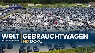 Heiligs Blechle  Deutschlands größter Gebrauchtwagenhandel  Doku [upl. by Annabel371]