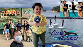 ZOOBIC SAFARI  FEEDING THE TIGER  OCEAN ADVENTURE SUBIC  PHILIPPINES  KENZO VLOGS [upl. by Johannah]