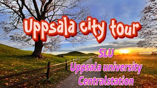 ස්වීඩනයේ උප්සාලා නගරය වටේ රවුමක්  A bicycle tour around the Uppsala city  SLUUppsala university [upl. by Nonnaihr]