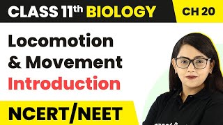 Locomotion and Movement  Introduction  Class 11 Biology [upl. by Novart]