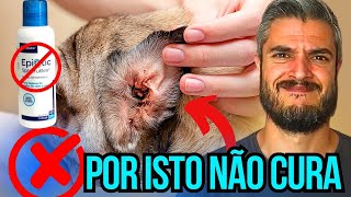 PASSO A PASSO COMO CURAR OTITE E DOR DE OUVIDO EM CÃES COM REMÉDIO BARATO PARA CACHORRO [upl. by Nit675]