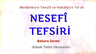 Nesefi Tefsiri Bakara 2102 Klasik Tefsir Okumaları مدارك التنزيل و حقائق التأويل [upl. by Noivart]