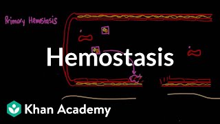 Hemostasis  Advanced hematologic system physiology  Health amp Medicine  Khan Academy [upl. by Seuqramed701]