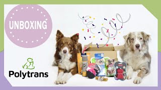 UNBOXING • JOUVRE UN COLI POUR MES CHIENS [upl. by Wendelina]