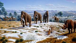 New World Pleistocene extinctions  Wikipedia audio article [upl. by Lassiter314]