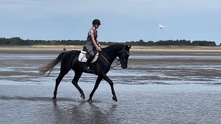 DrohnenAufnahmen Reiten am Strand in Sankt PeterOrding [upl. by Oiramaj]