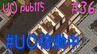 【UO pub115】36 ウルトラオレンジは禁止ですがウルティマオンラインは絶賛稼働中です [upl. by Neelhtakyram]