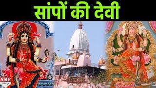 Devi Mansa के दर्शन से पूरी होगी सभी मनोकामनाएं [upl. by Neeloj490]