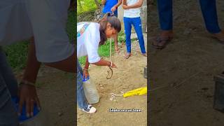 Snake rescure team snakerescuredeepika amp rescurerajbhai ytshorts rescure snake viral [upl. by Edd]