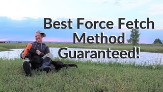 Best Force Fetch Method Guaranteed [upl. by Nytsirk114]